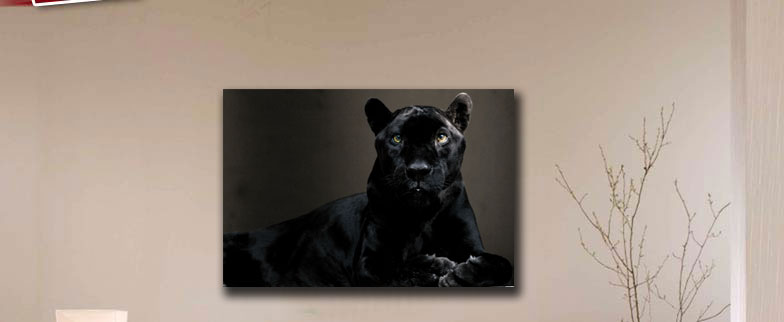 "BLACK PANTHER"120x80cm BILD TIER KATZE LOUNGE POSTER | eBay